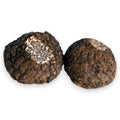 Frischer schwarzer Trüffel - Tuber indicum (Qualitätsklasse B) Terra Ross