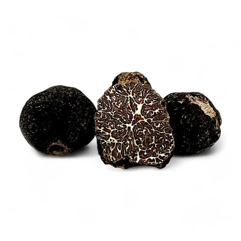 Fresh Bagnoli Truffle Tuber Mesentericum slice with earthy texture and white speckles
