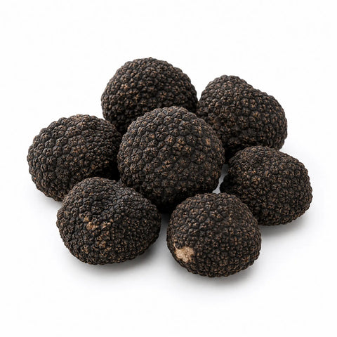 Frische schwarze Sommertrüffel – Tuber aestivum A-Qualität  