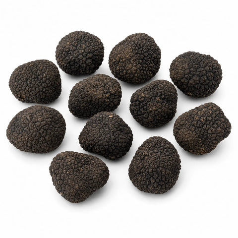 Kleine frische Schwarze Sommertrüffel – Tuber aestivum B Qualität