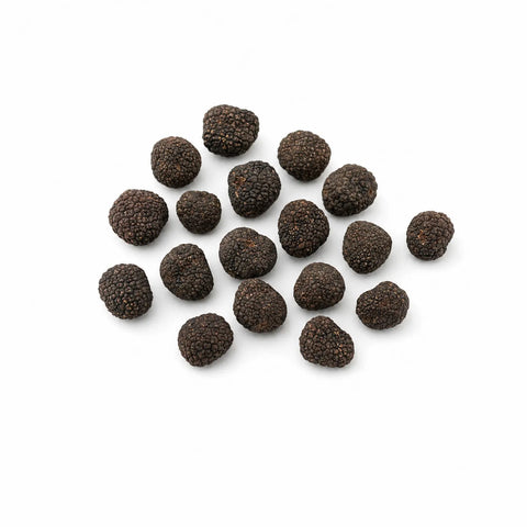 Frische Burgundertrüffel – Tuber uncinatum C Qualität