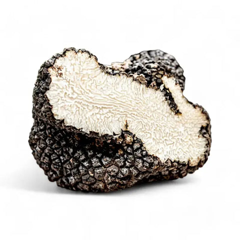 Cross-sectioned black summer truffle Tuber Aestivum for Fresh Summer Truffle product