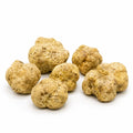 Große frische weiße Trüffel Tuber magnatum mit blassockerfarbenen Oberflächen und natürlicher Formenvielfalt