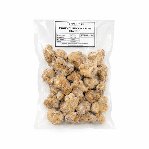 Gefrorener weißer Trüffel – Tuber magnatum (Qualitätsklasse B)