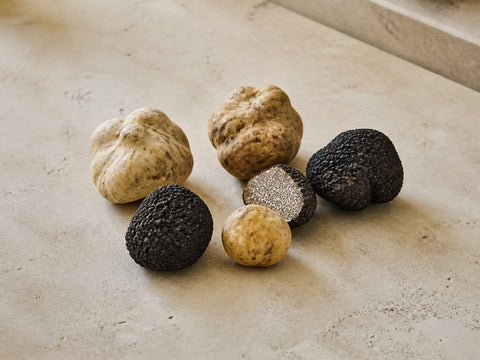 Ganze weiße und schwarze Trüffel sowie eine aufgeschnittene schwarze Trüffel mit sichtbar marmoriertem Inneren auf einer hellen Steinoberfläche.